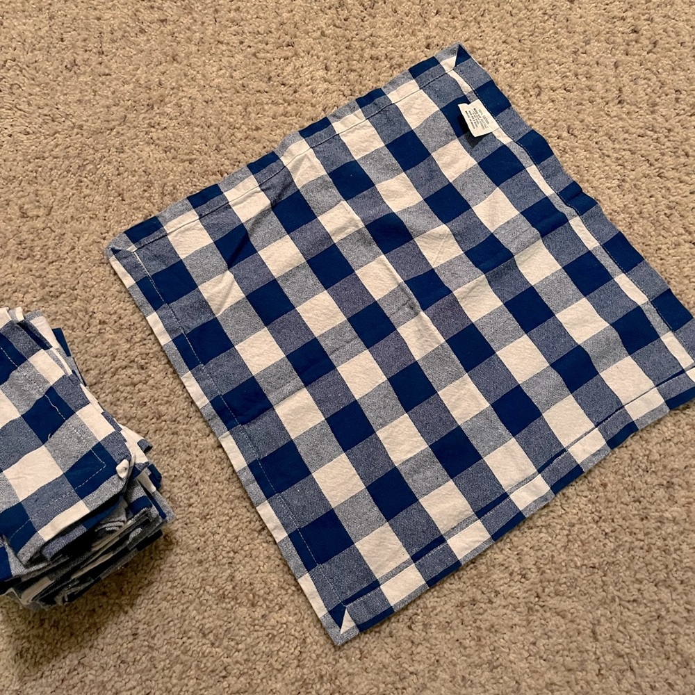 Blue Plaid picnic napkins clothe